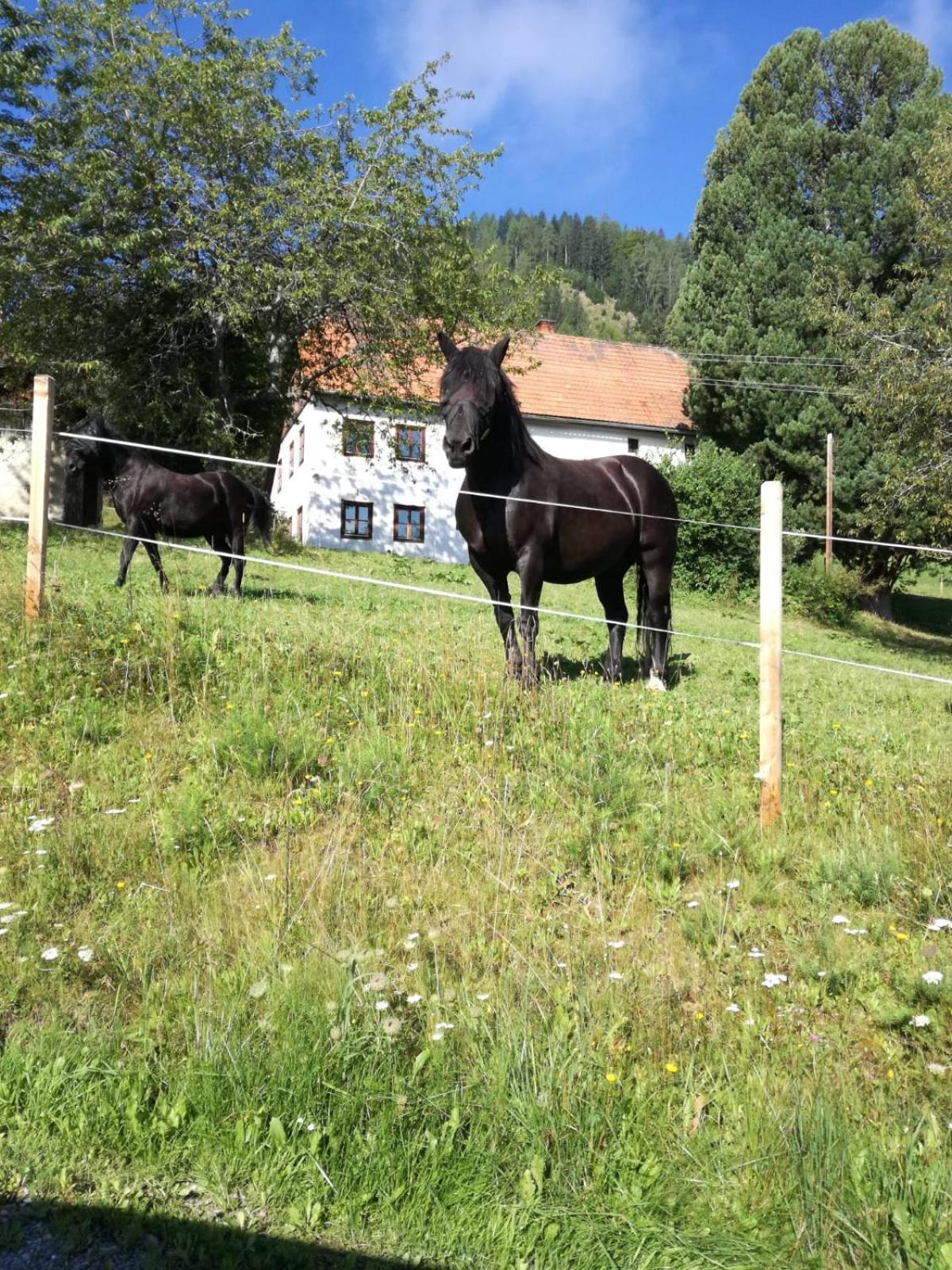 Chalet Bergblick Sankt Blasen 外观 照片
